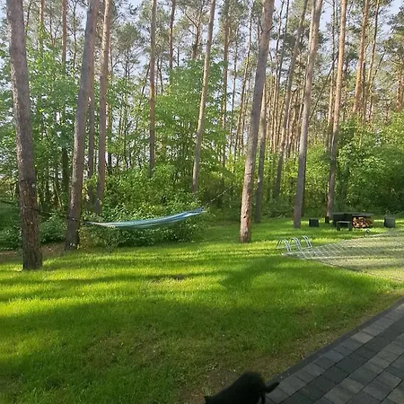 Karłowy